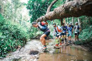 BIB: 
                            <button type="button" onclick="openModal(25372766)" class="btn btn-primary btn-sm float-right btn-popup" data-toggle="modal" data-target=".modal-high-quality">
                        <i class="fas fa-shopping-cart"></i> Add to Cart
                    </button>
                                            <button type="button" onclick="isThisMe(25372766, true)" class="btn btn-success btn-sm float-right btn-popup btn-isme hidden" data-toggle="tooltip" data-placement="bottom" title="นี่คือรูปของคุณใช่ไหม คลิกที่นี่เพื่อเอาเข้าอัลบั้ม">
                        <i class="fas fa-plus"></i> Add to album
                    </button>
                    <button type="button" onclick="isThisMe(25372766, false)" class="btn btn-warning btn-sm float-right btn-popup btn-isnotme hidden">
                        <i class="fas fa-ban"></i> Remove from album
                    </button>